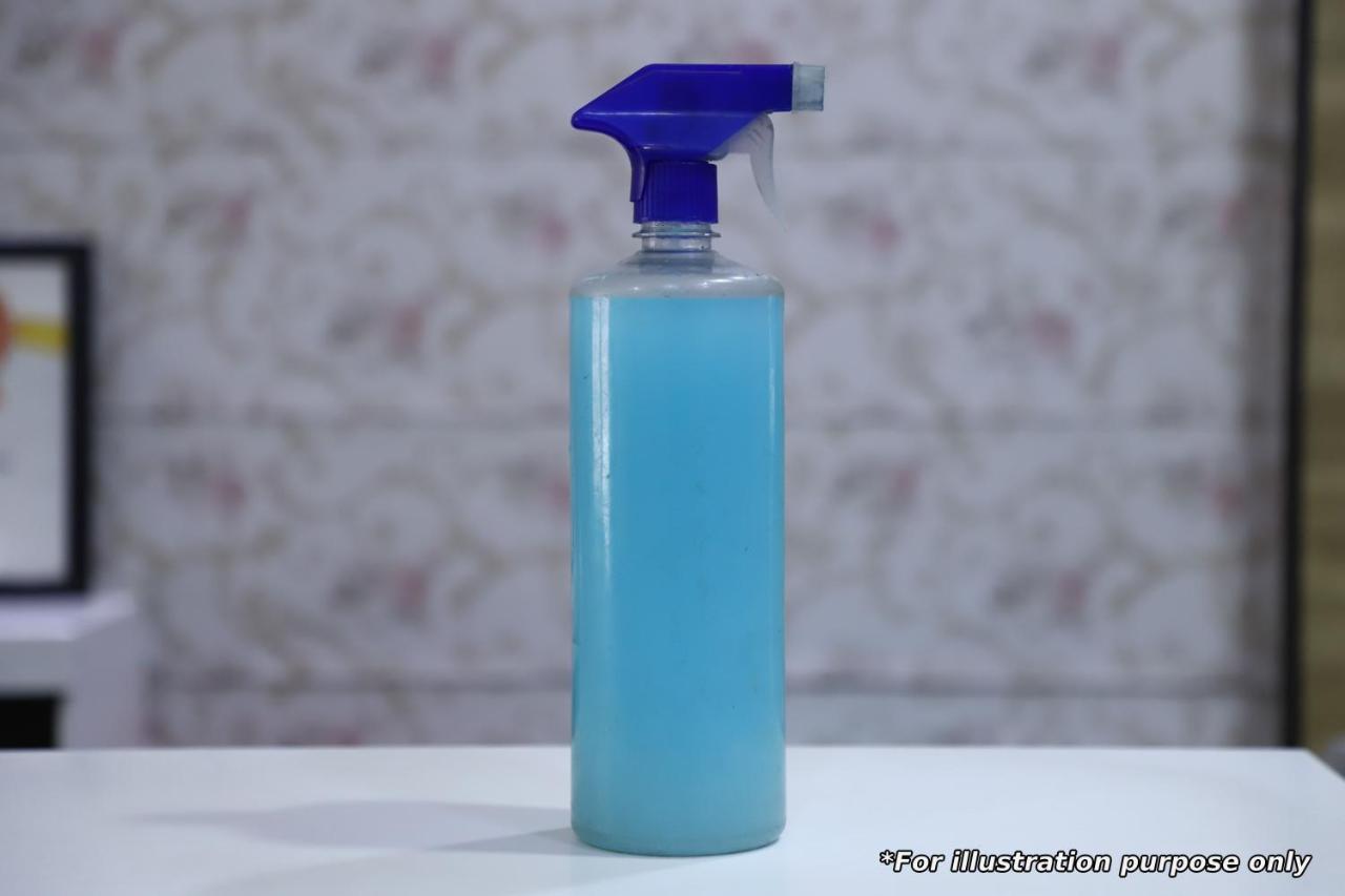 拉马大酒店 迈索尔 外观 照片